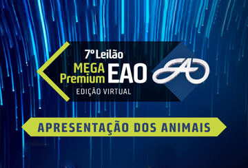 LIVE APRESENTAÇÃO DOS ANIMAIS -  7º LEILÃO MEGA PREMIUM EAO